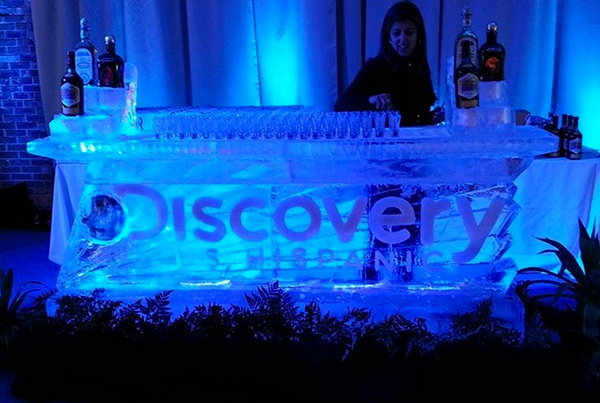Discovery Ice Bar Chicago Sculpture Carving